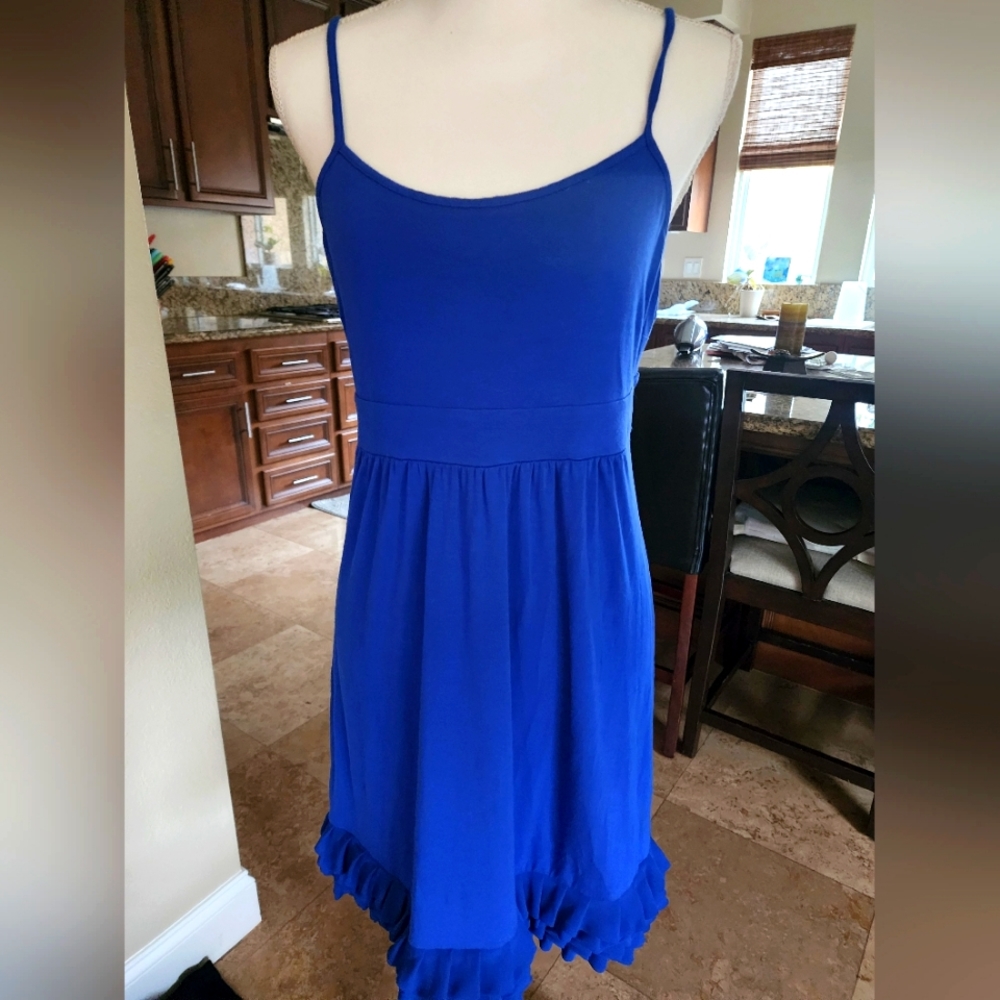 NWOT Express Blue Ruffle Dress